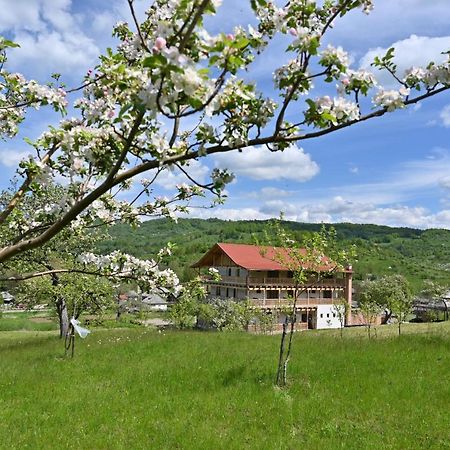 Pensiunea Plai Strabun Strîmtura 外观 照片